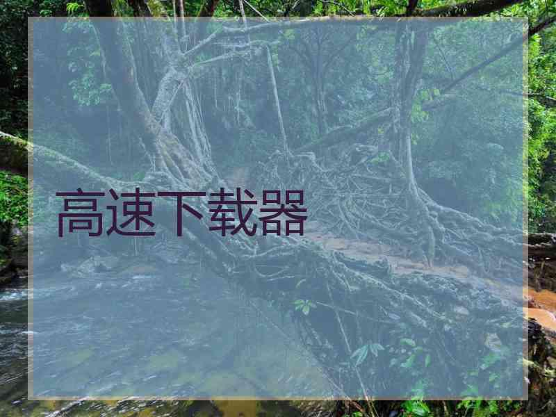 高速下载器