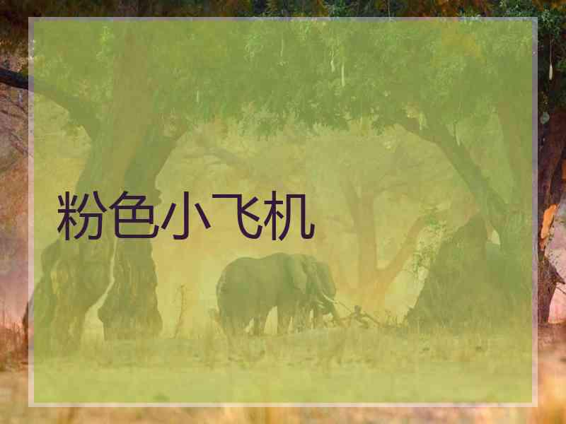 粉色小飞机