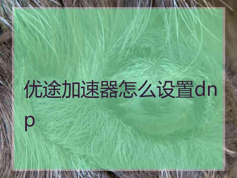 优途加速器怎么设置dnp