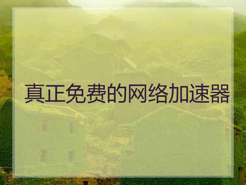 真正免费的网络加速器