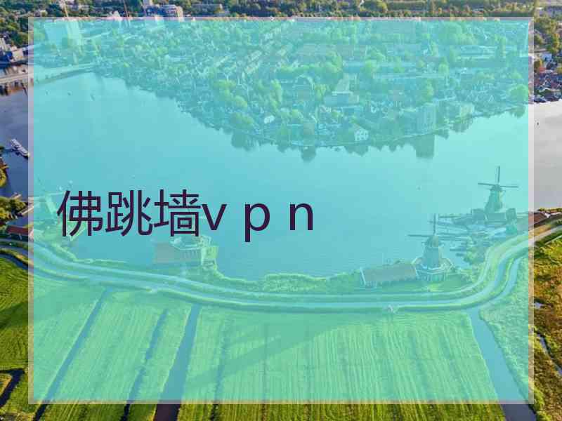 佛跳墙v p n