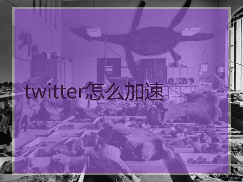 twitter怎么加速