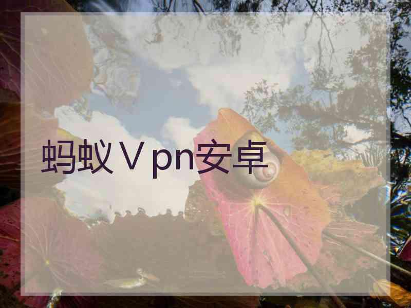 蚂蚁Ⅴpn安卓