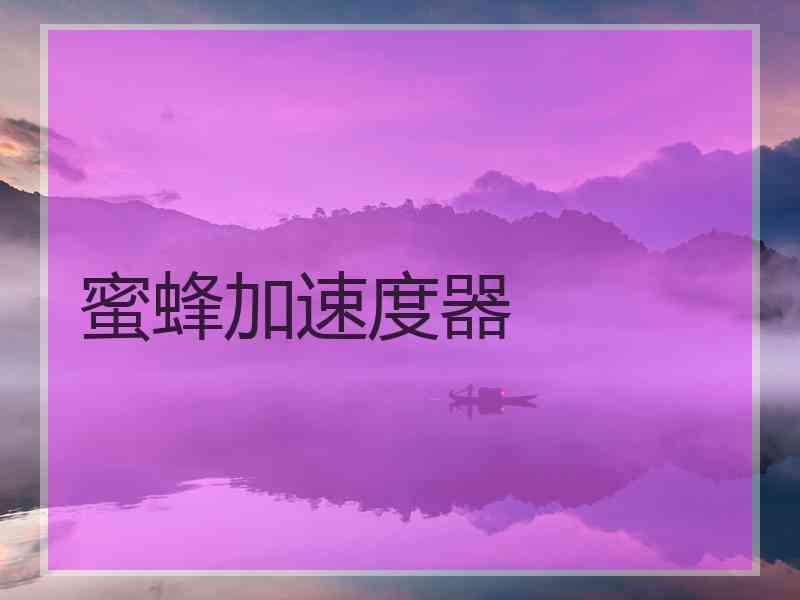 蜜蜂加速度器