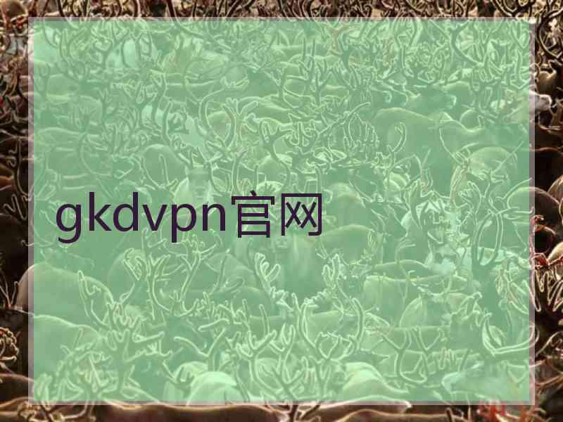 gkdvpn官网