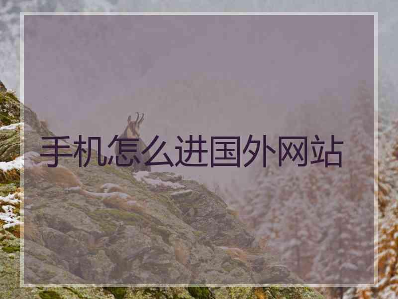 手机怎么进国外网站