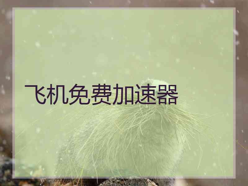 飞机免费加速器