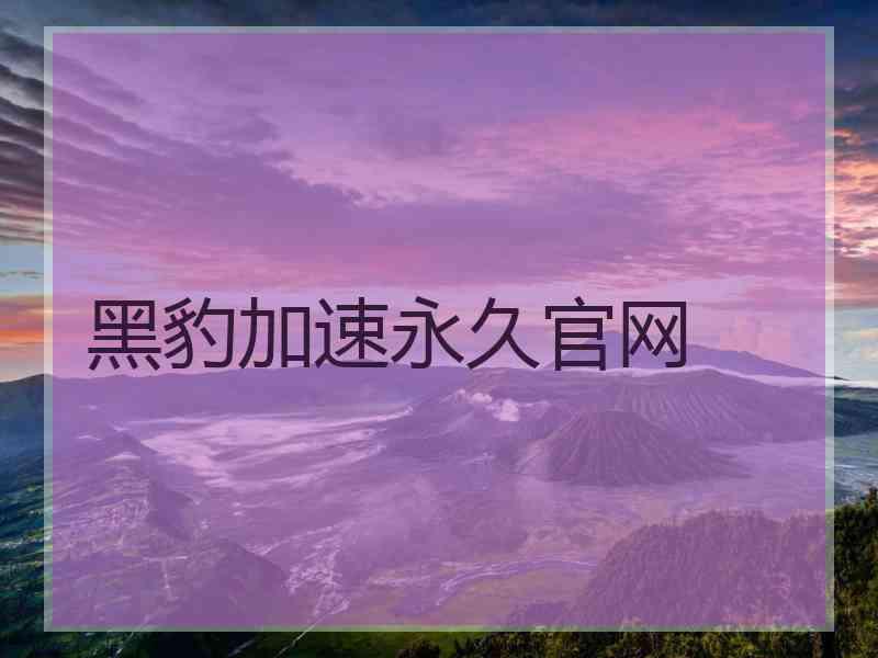 黑豹加速永久官网