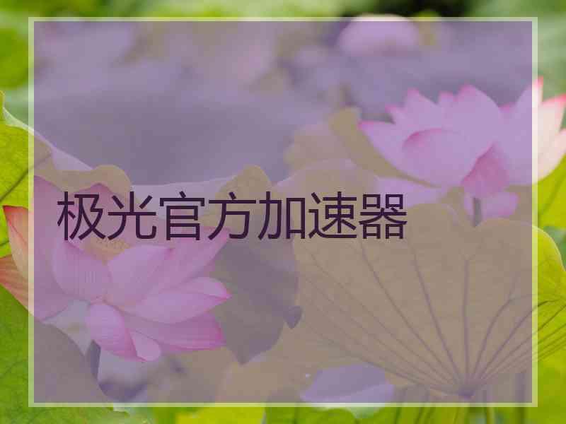极光官方加速器