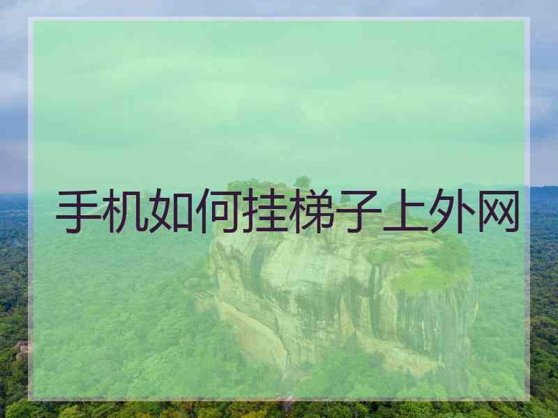 手机如何挂梯子上外网