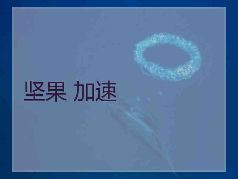 坚果 加速