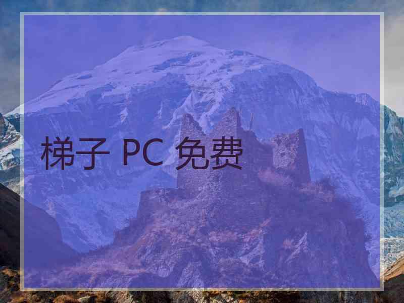 梯子 PC 免费