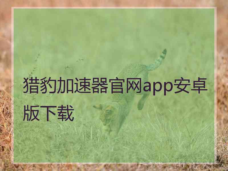 猎豹加速器官网app安卓版下载