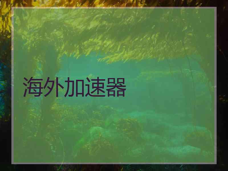 海外加速器