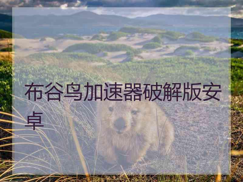 布谷鸟加速器破解版安卓