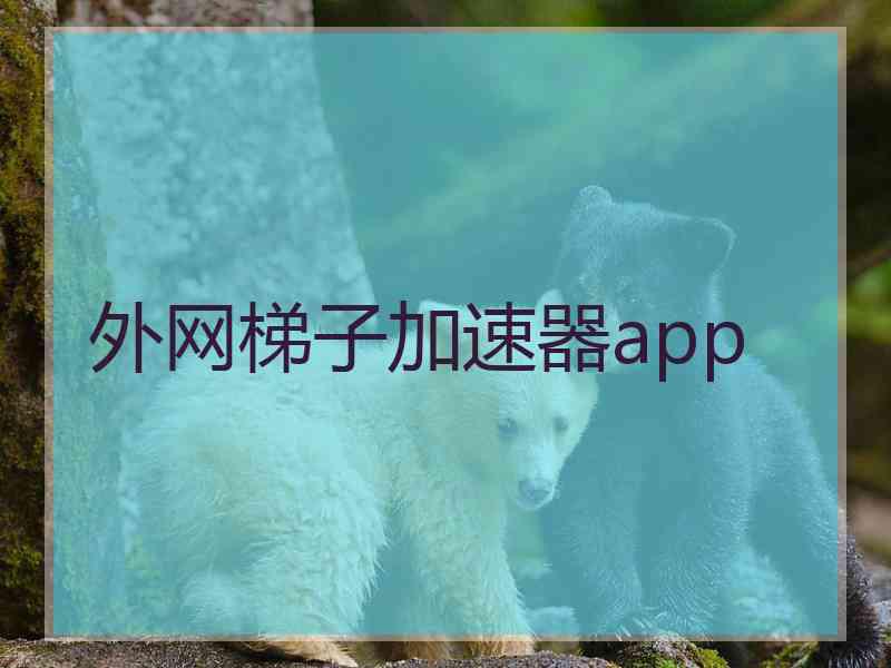 外网梯子加速器app