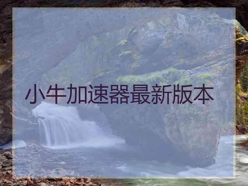 小牛加速器最新版本