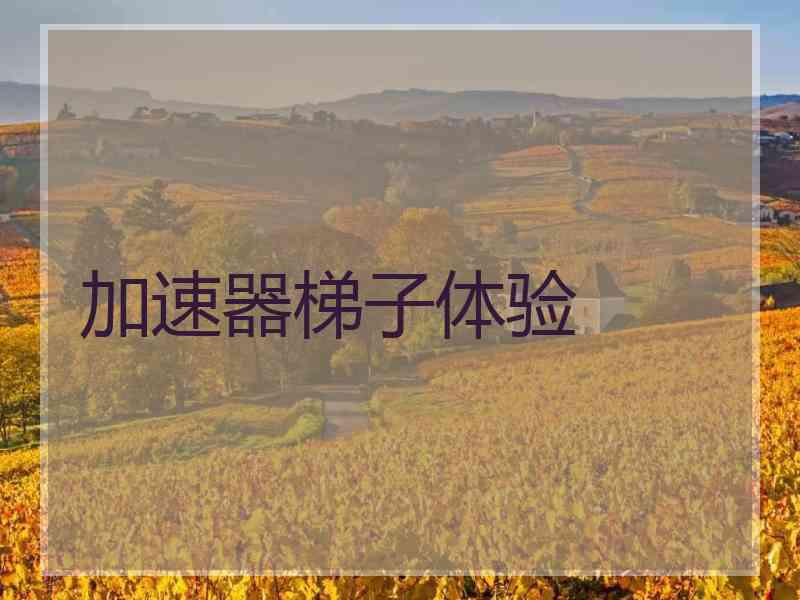 加速器梯子体验