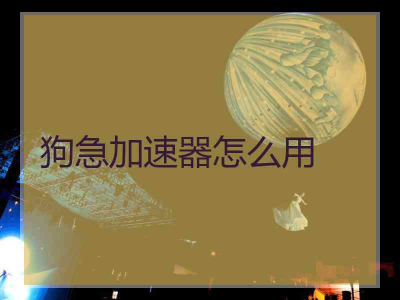 狗急加速器怎么用