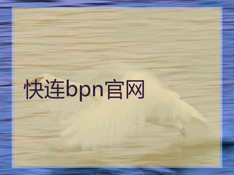 快连bpn官网