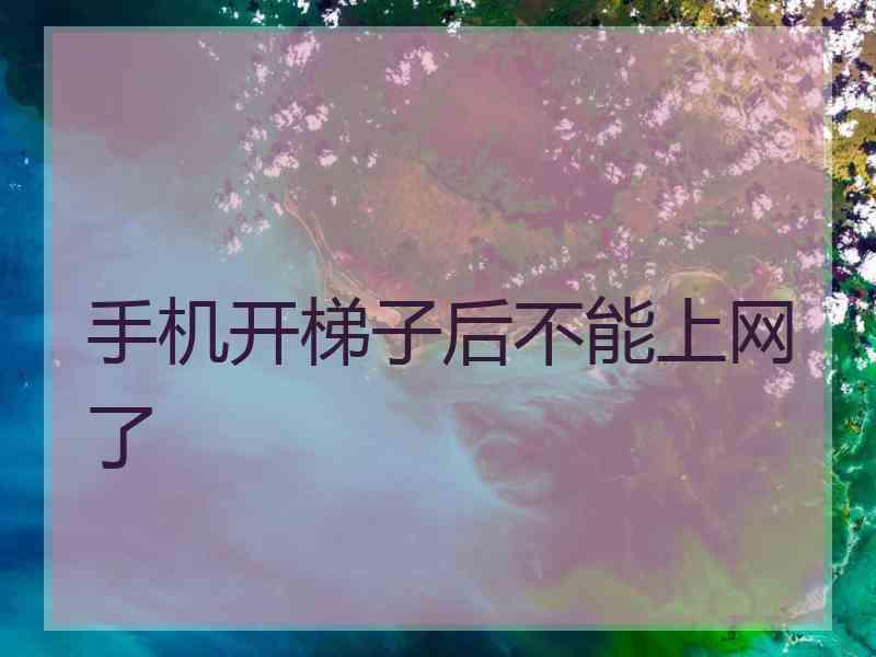 手机开梯子后不能上网了