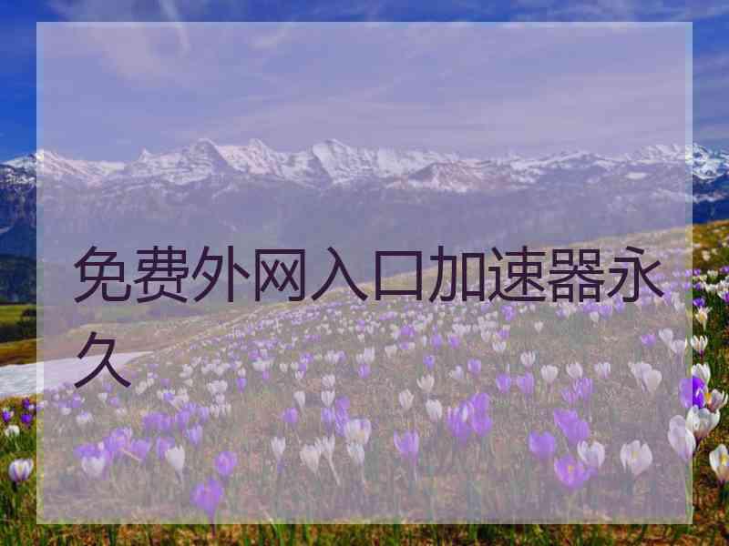 免费外网入口加速器永久