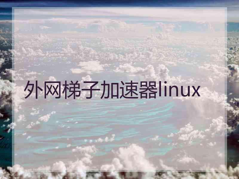 外网梯子加速器linux