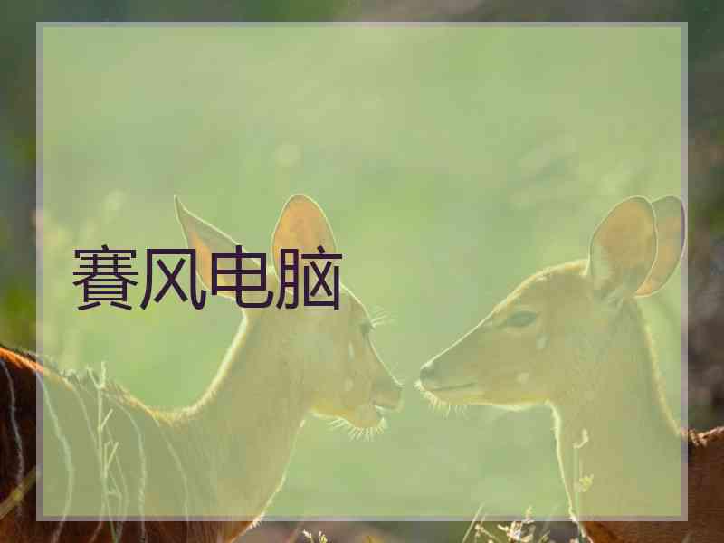 賽风电脑