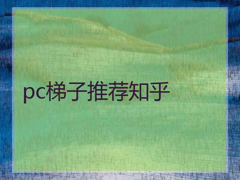 pc梯子推荐知乎