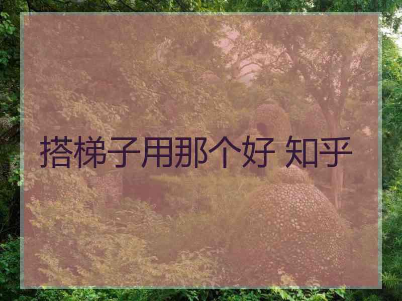 搭梯子用那个好 知乎