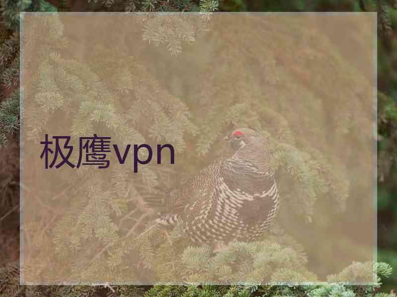 极鹰vpn