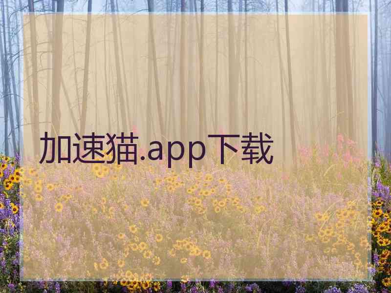 加速猫.app下载