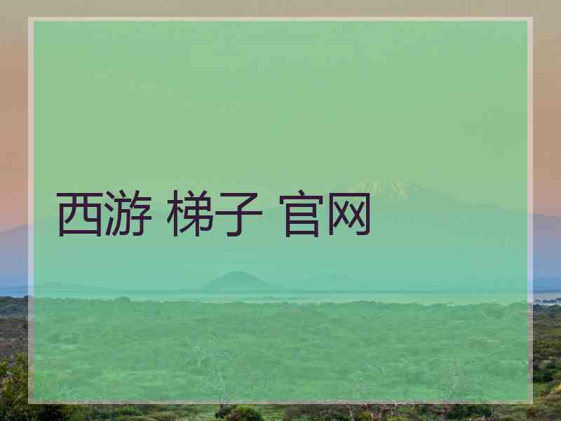 西游 梯子 官网