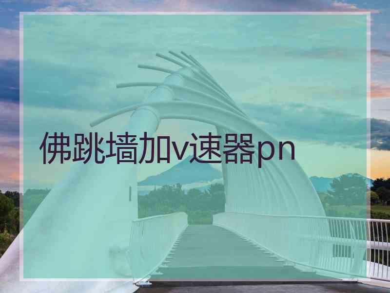 佛跳墙加v速器pn