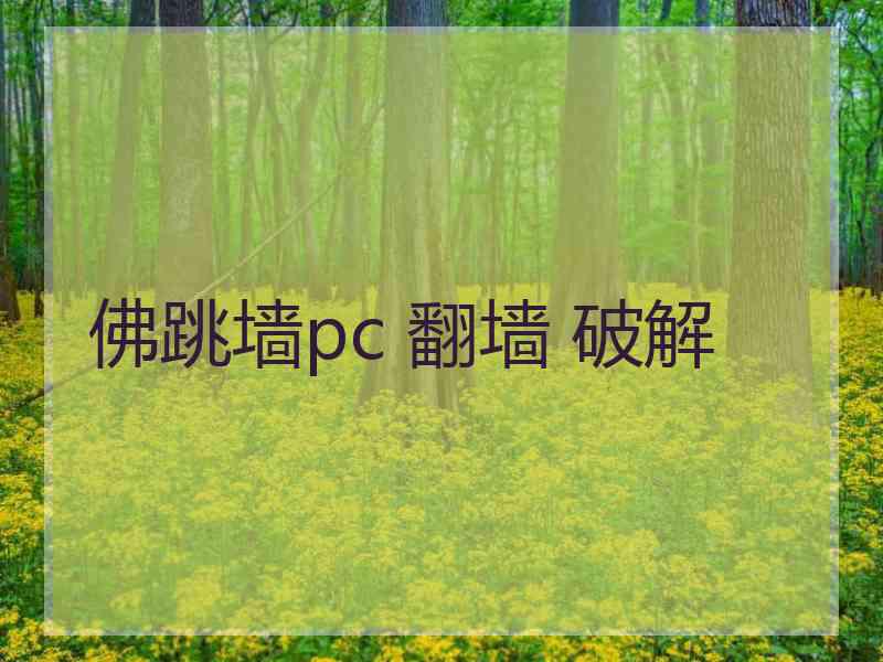 佛跳墙pc 翻墙 破解
