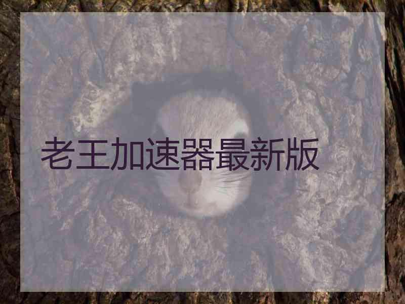 老王加速器最新版