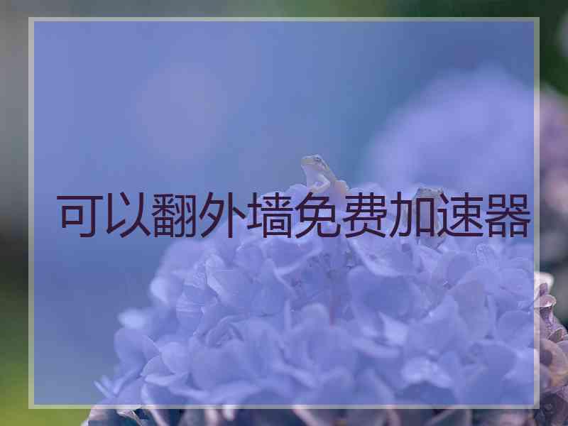 可以翻外墙免费加速器