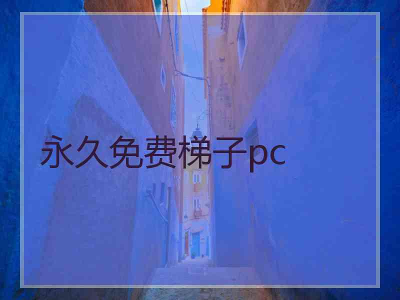 永久免费梯子pc