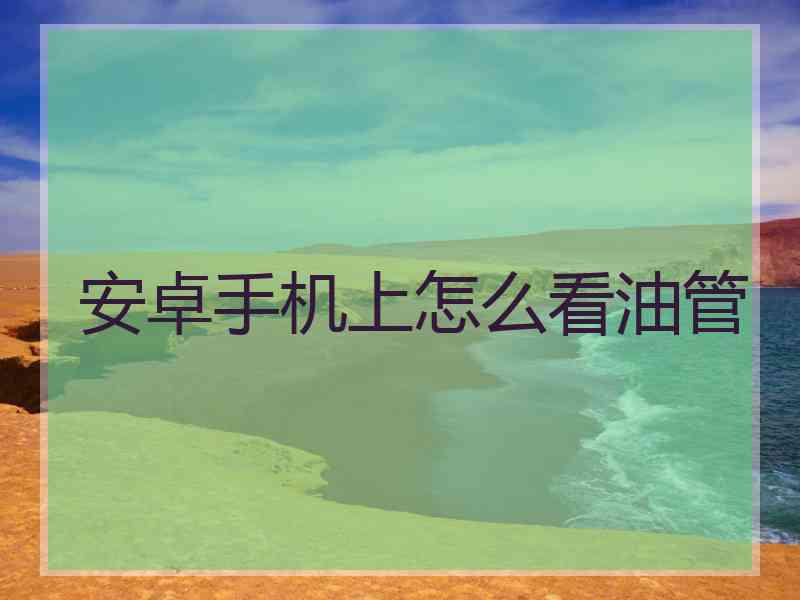 安卓手机上怎么看油管