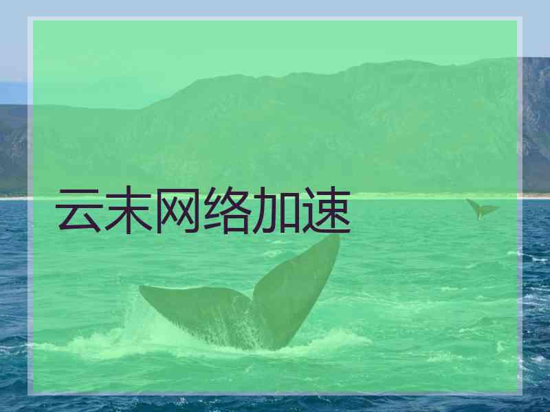 云末网络加速