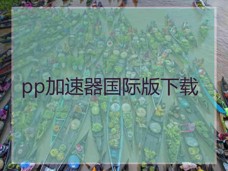 pp加速器国际版下载
