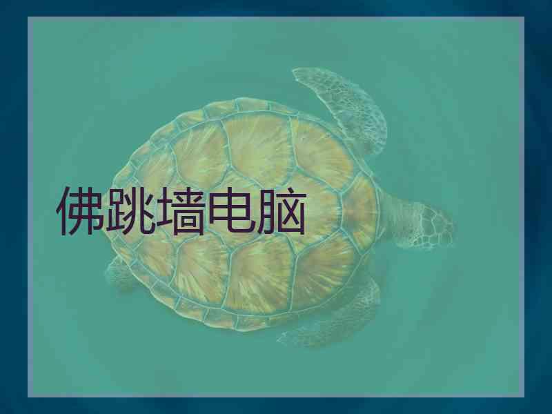 佛跳墙电脑