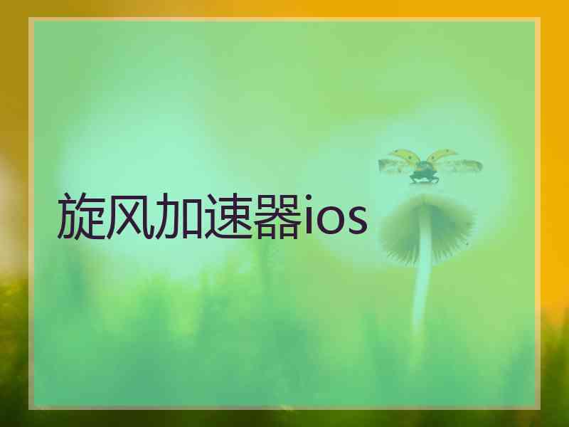 旋风加速器ios