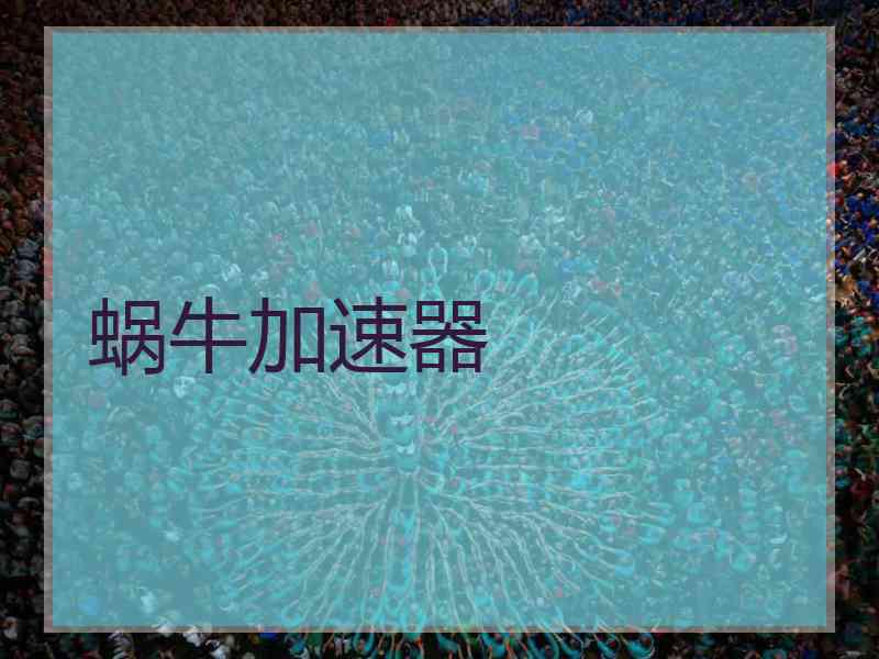 蜗牛加速器