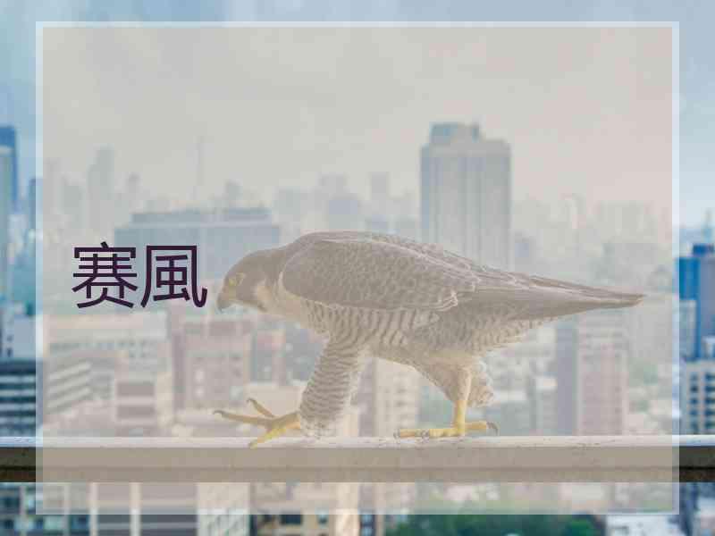 赛風