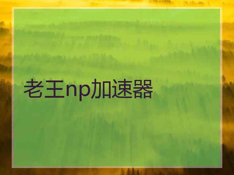 老王np加速器