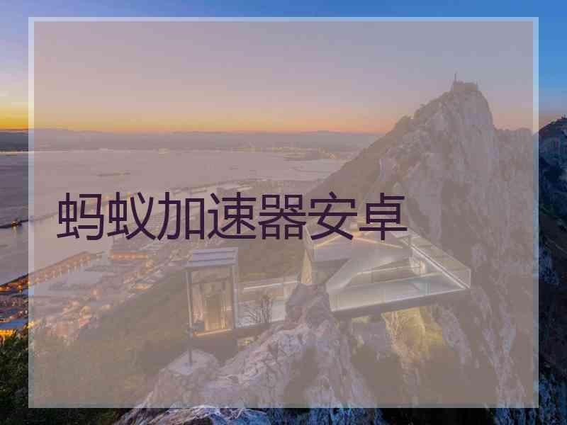 蚂蚁加速器安卓