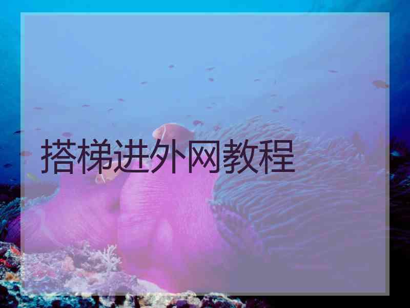 搭梯进外网教程