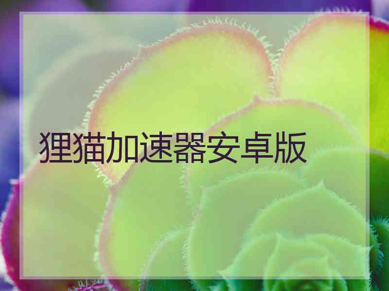 狸猫加速器安卓版