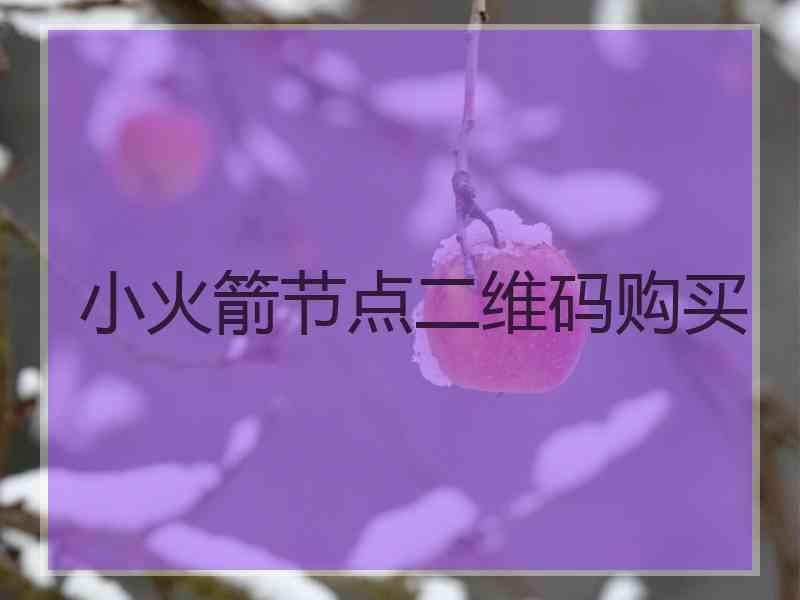 小火箭节点二维码购买